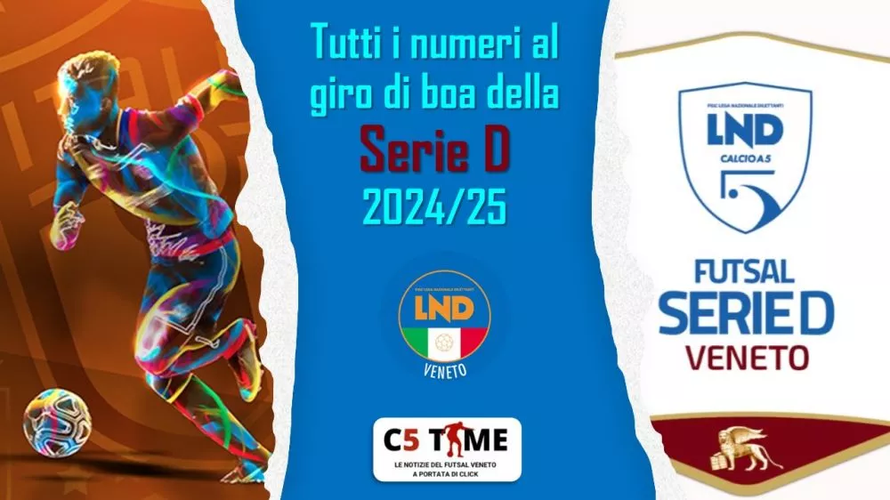 SERIE D Tutti i numeri al giro di boa