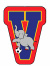 logo DUEVILLE CALCIO C5